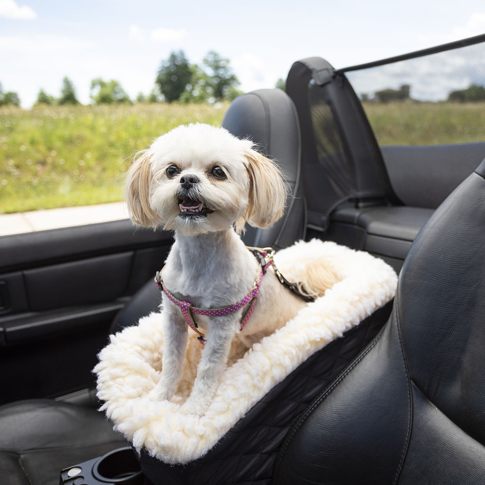 Best console dog car seat Amazons