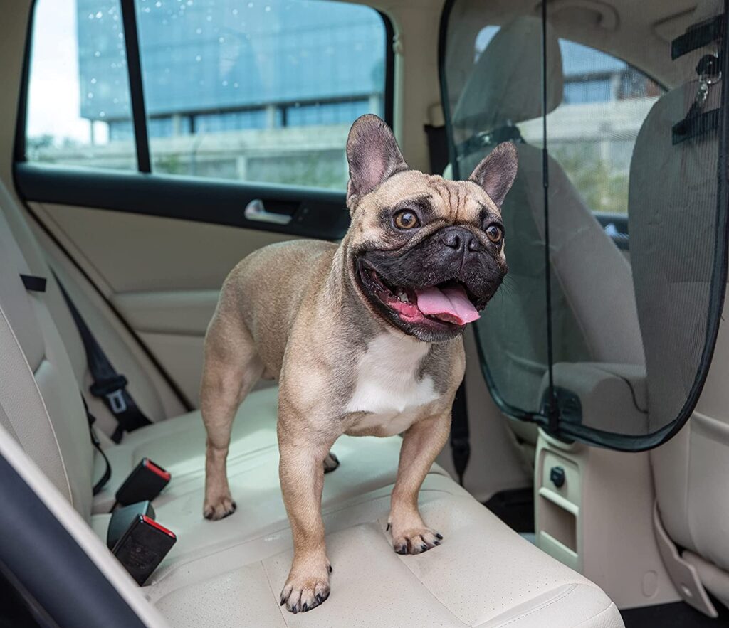 The Best car pet barrier Amazon reviews