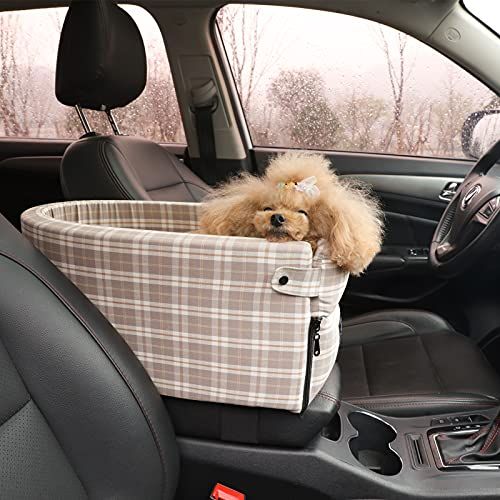 The 5 Best Console Dog Car Seats for Small and Medium Sized Dogs